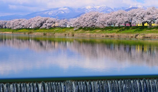 春天推荐的景点