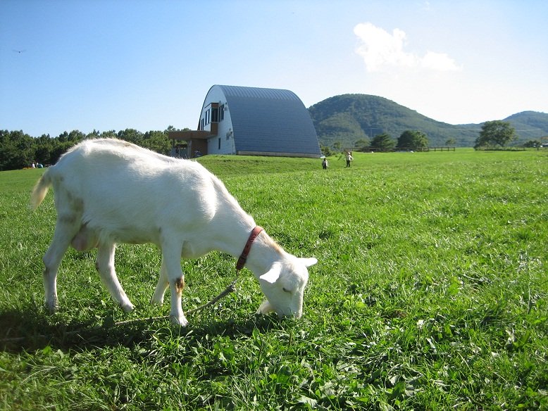 Zao Dairy Center| Mercure Miyagi Zao Resort & Spa