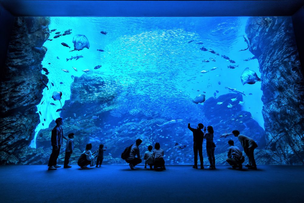 Sendai Umi no Mori Aquarium