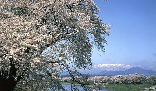 Photo Gallery | Mercure Miyagi Zao Resort & Spa