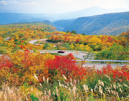 Autumn Leaves] Recommended spots for autumn - Mercure Miyagi Zao
