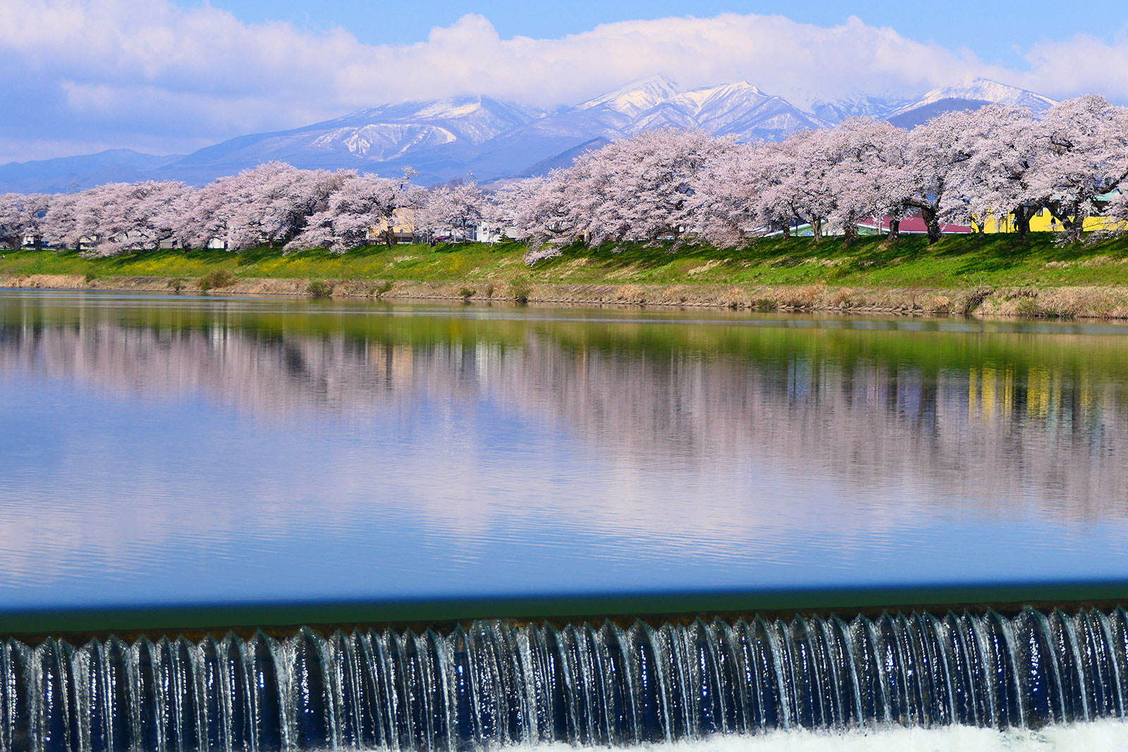 Recommended Spots in Spring| Mercure Miyagi Zao Resort & Spa