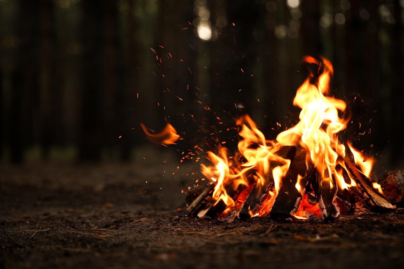 Bonfire