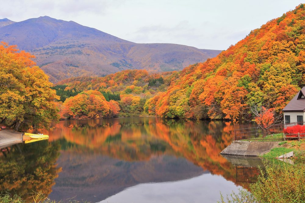 Autumn Leaves] Recommended spots for autumn - Mercure Miyagi Zao