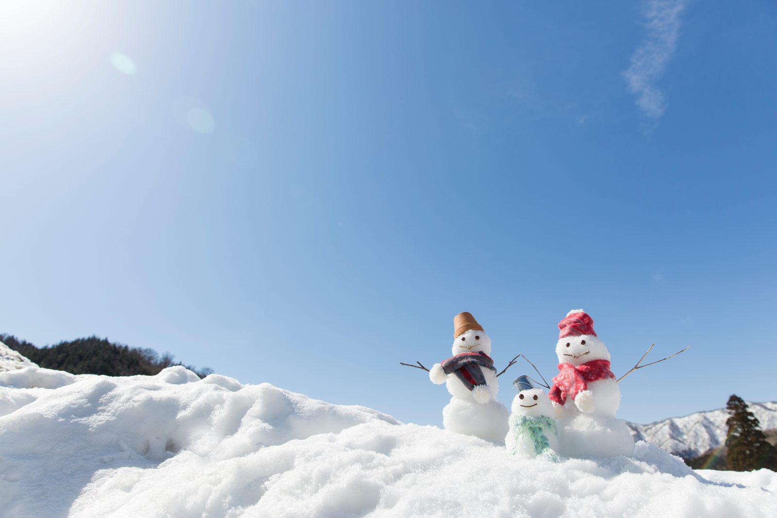 Winter vacation is also available! 1st Anniversary Family Special / Free plan for elementary school students and younger