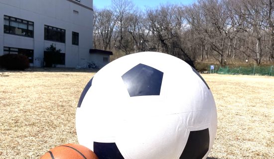 Have fun in the courtyard! Soccer ball & badminton & bonfire experience