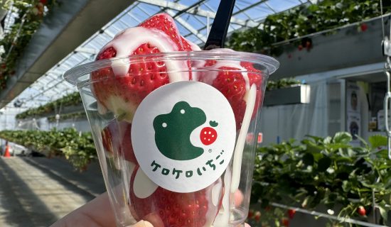 Miyagi strawberry picking & all-inclusive experience to enjoy together
