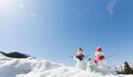 겨울방학도 대상! 】1주년 기념 패밀리 스페셜/초등학생 이하 무료 플랜