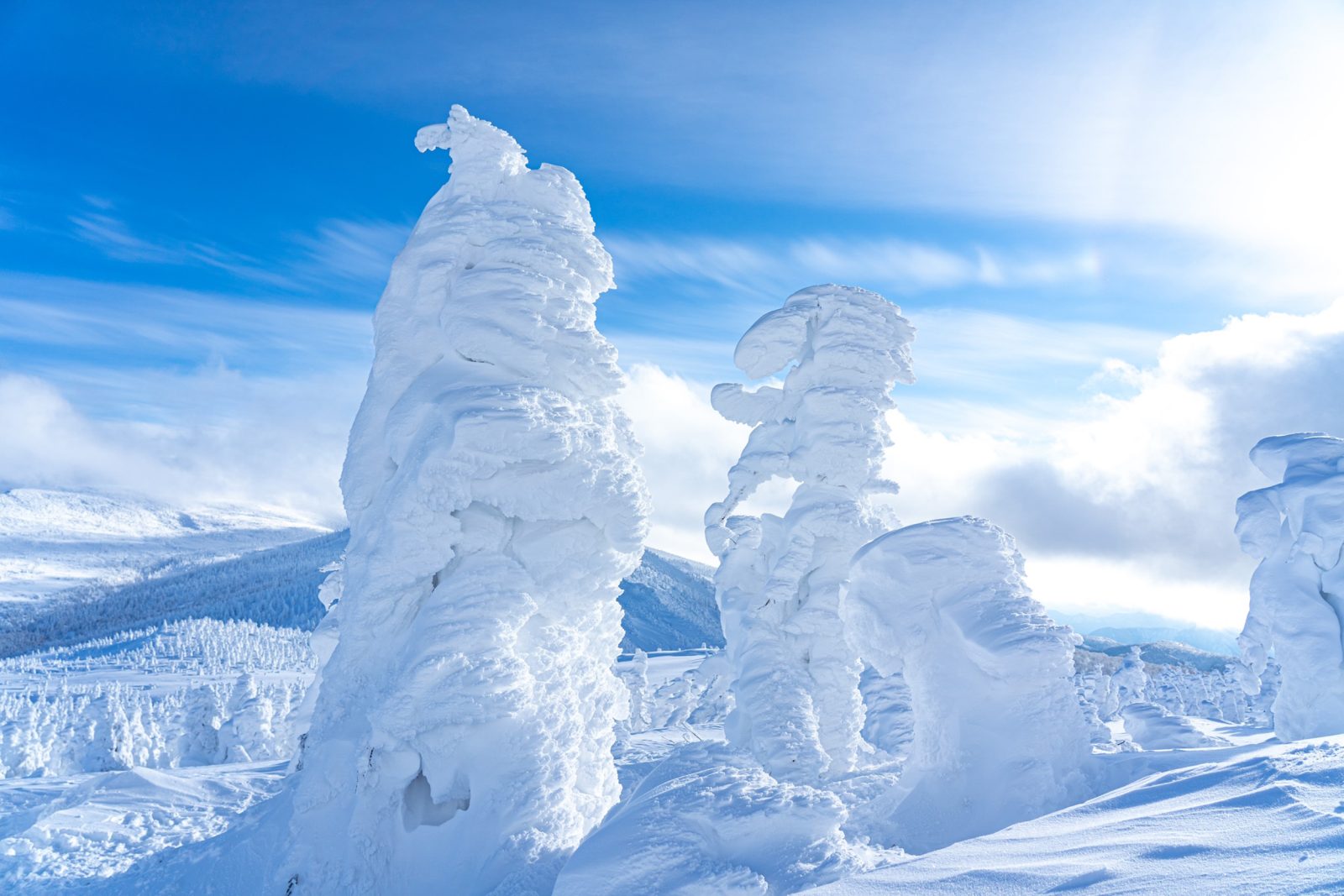 【帶樹冰巡遊的計畫】享受山羊藏王的樹冰之旅和溫暖人心的自助餐