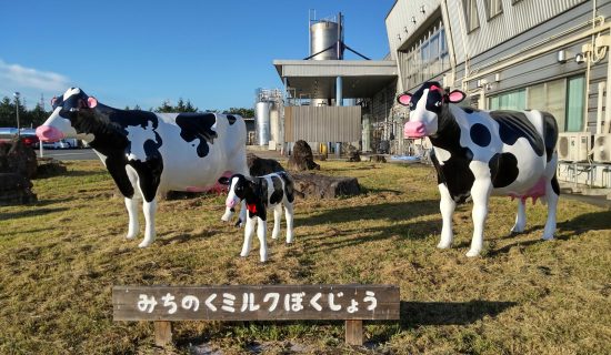 參觀雪印牛奶集團みちのく牛奶(株)總部工廠