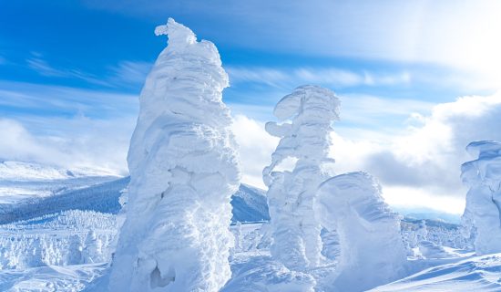【樹氷めぐりツアー付きプラン】みやぎ蔵王の樹氷めぐりと心温まるビュッフェを堪能